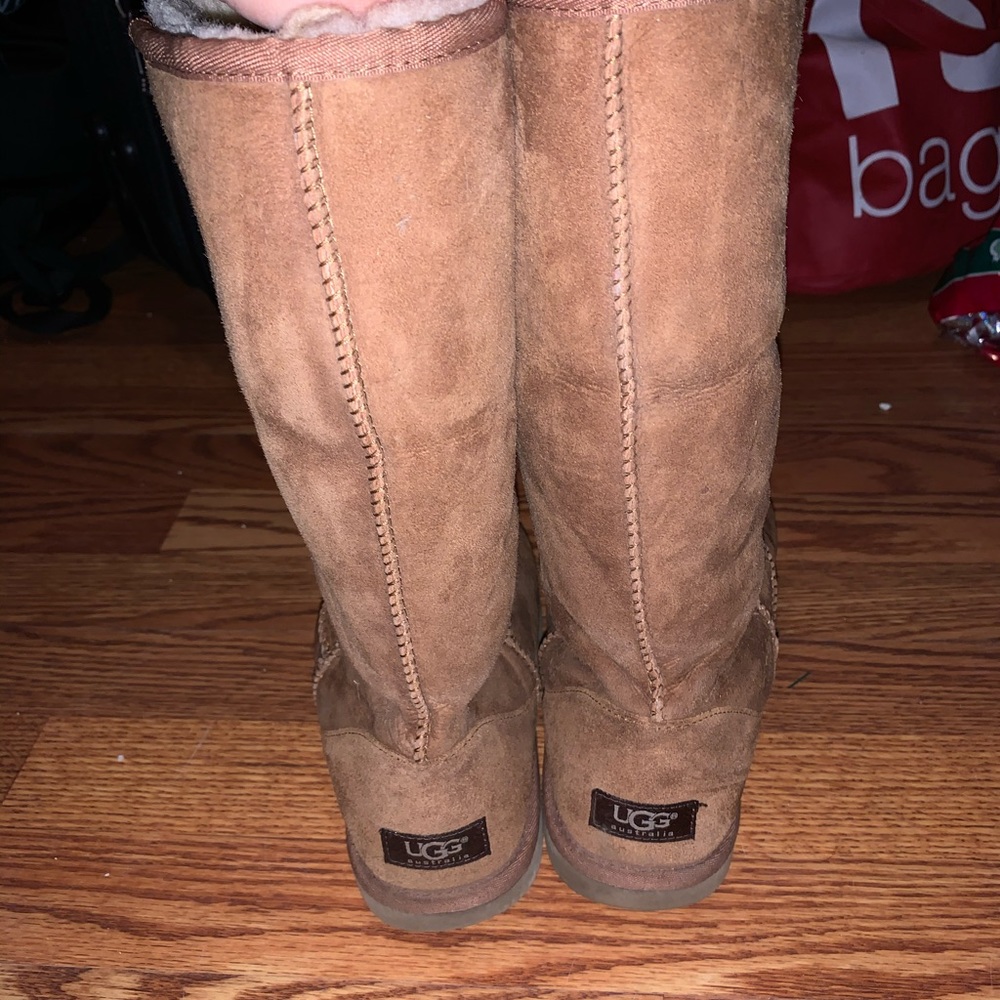Tall chesnut uggs